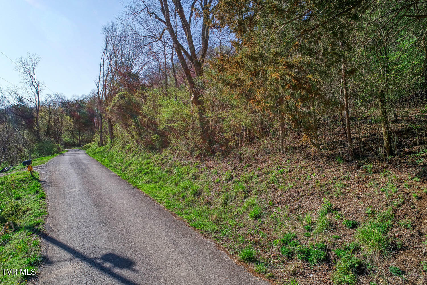 000 Sensabaugh Hollow Road, Church Hill, Tennessee image 5