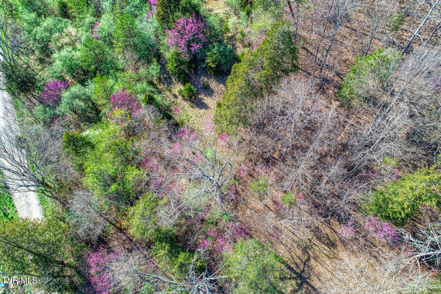 000 Sensabaugh Hollow Road, Church Hill, Tennessee image 12