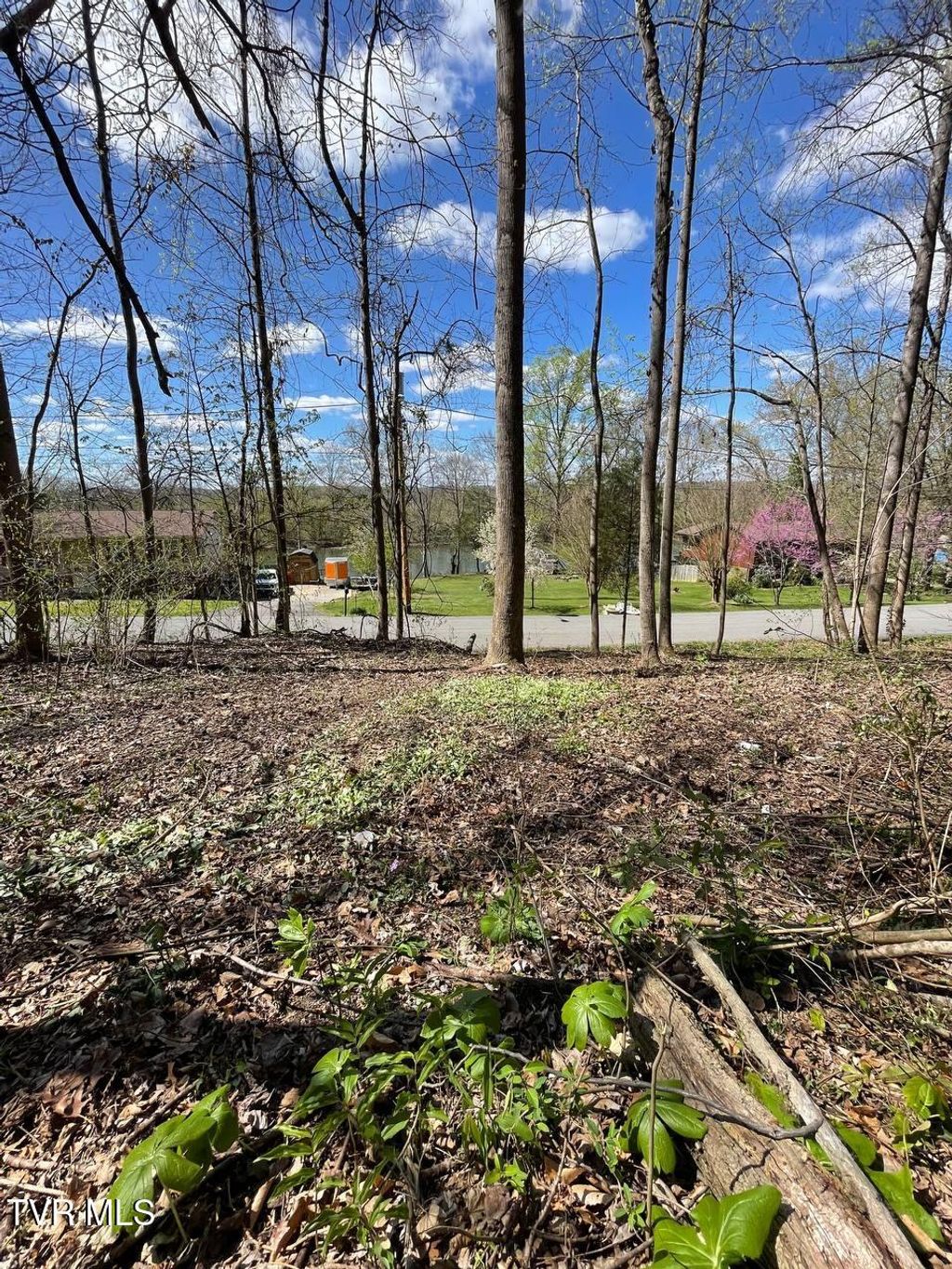 Photo of Tbd Kings Bay Drive, Kingsport, TN 37660 (MLS # 9981176)
