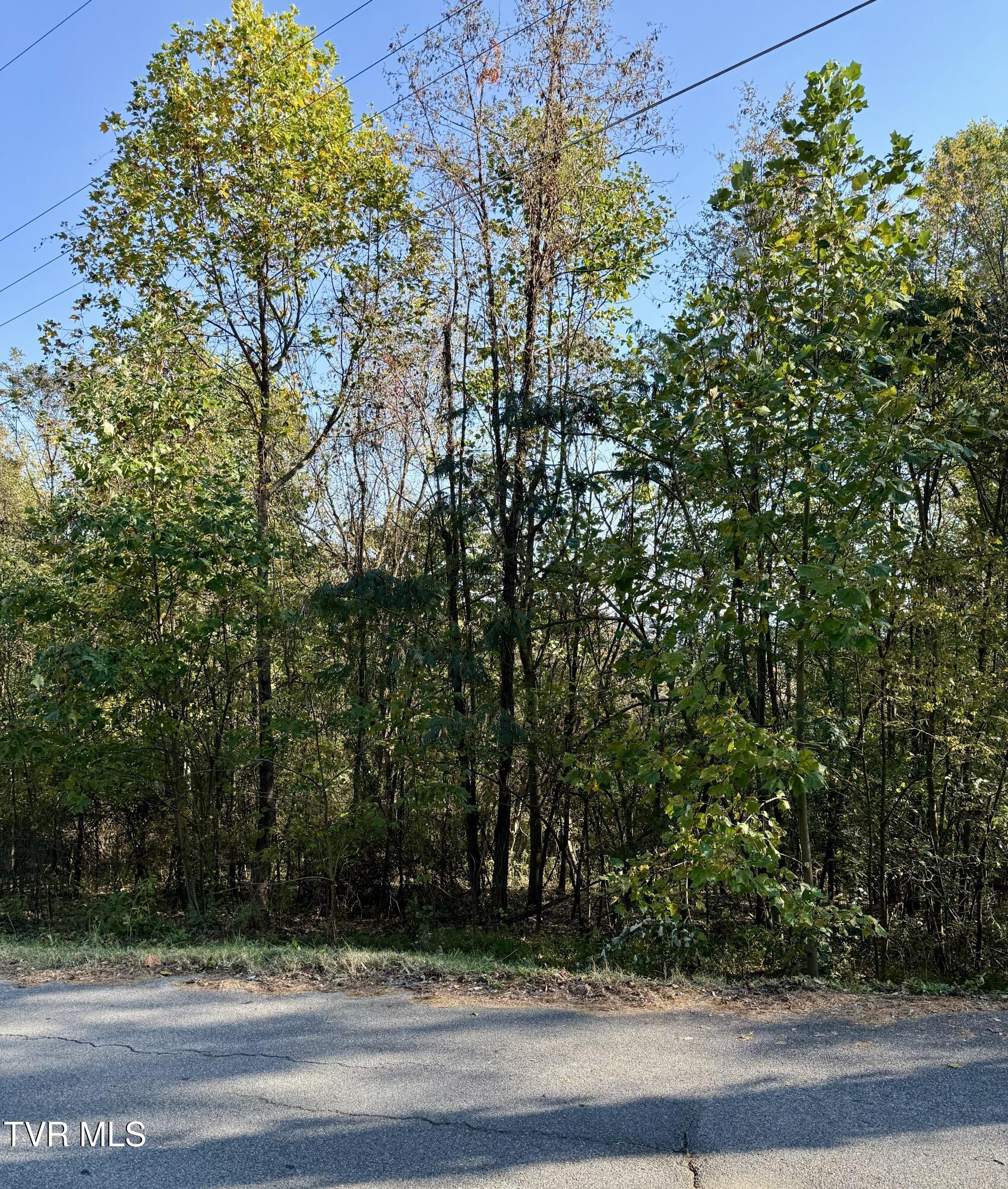 Tbd Kincaid Street, Kingsport, Tennessee image 1