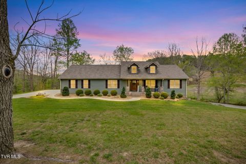 Photo of 747 Central Avenue, Church Hill, TN 37642 (MLS # 9993908)