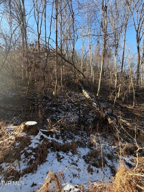 Vacant Land For Sale - TBD W Of Williams Lane<br/> Johnson County, Butler, TN 37640