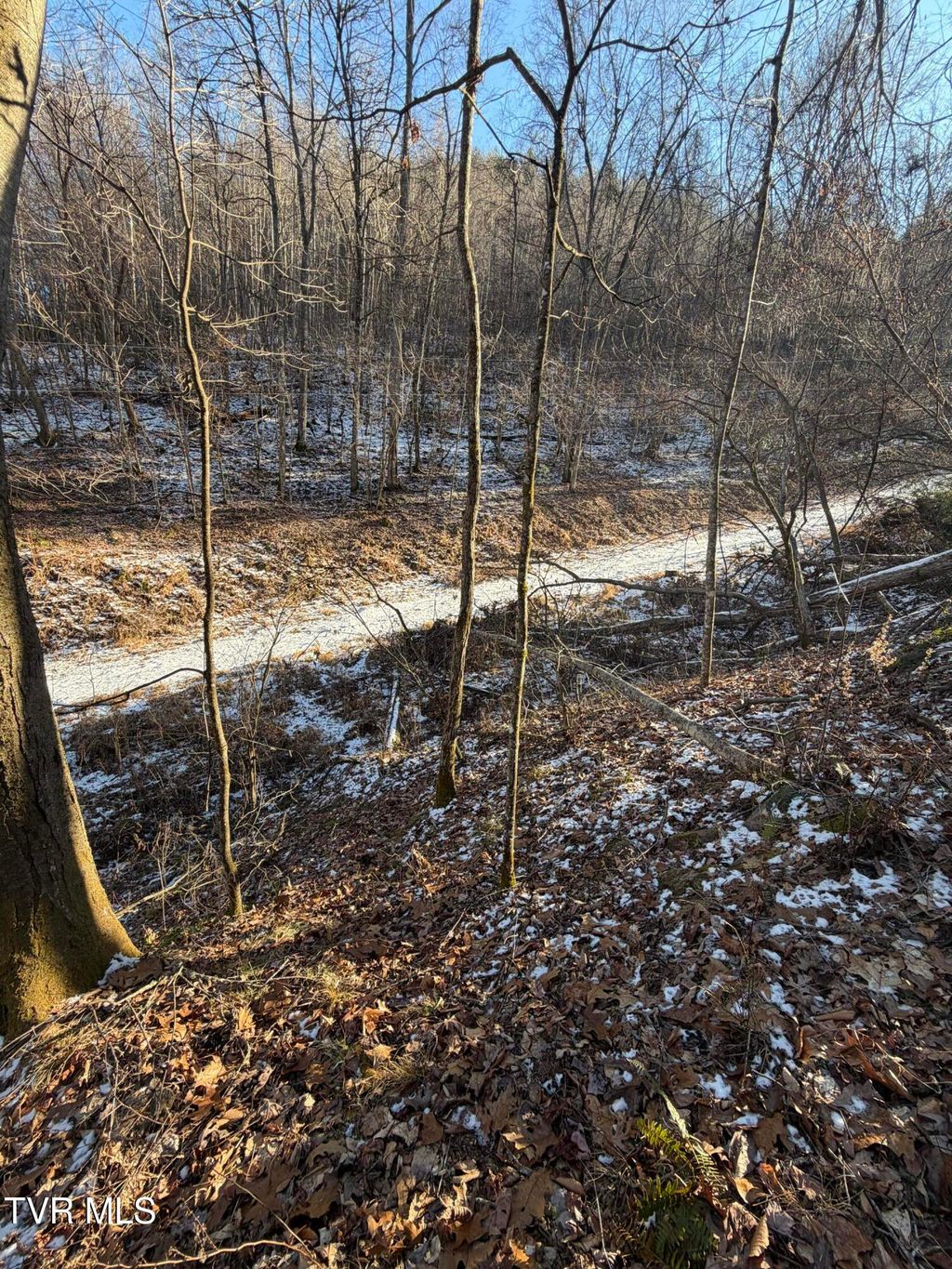 Photo of Tbd W Of Williams Lane, Butler, TN 37640 (MLS # 9990386)