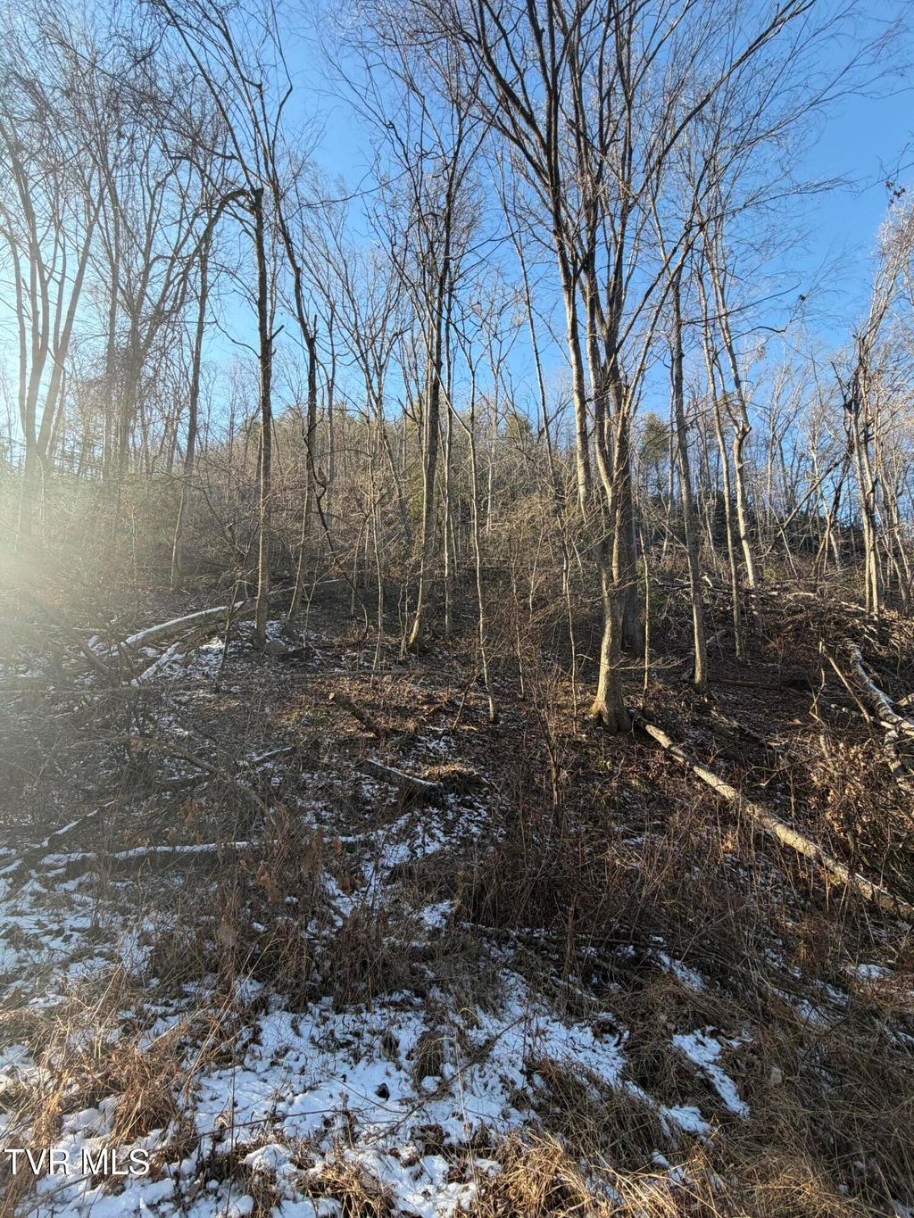 Photo of Tbd W Of Williams Lane, Butler, TN 37640 (MLS # 9990386)