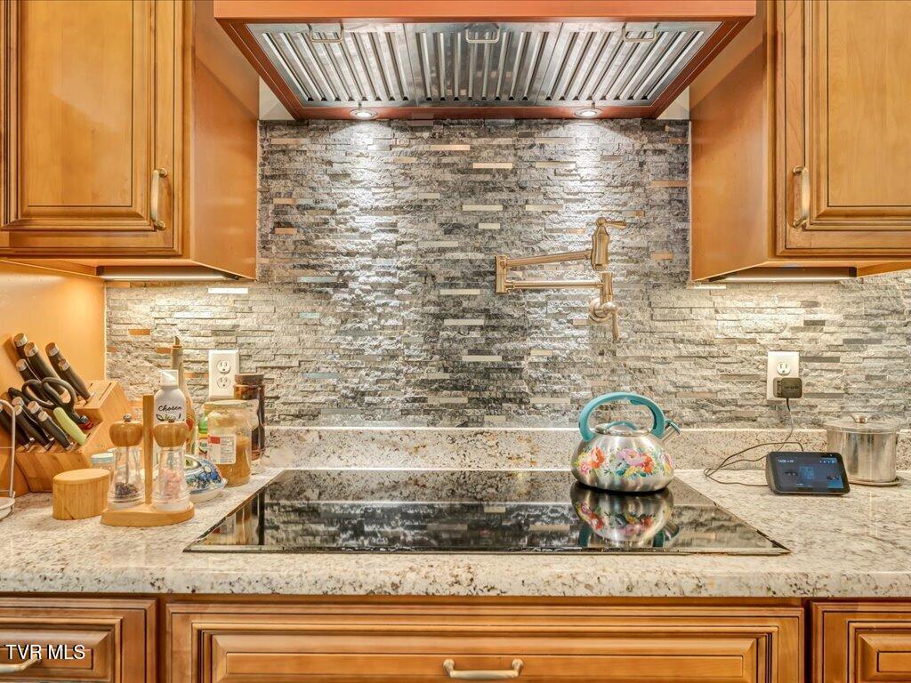 1610 Sequoyah Drive, Mooresburg, Tennessee image 12