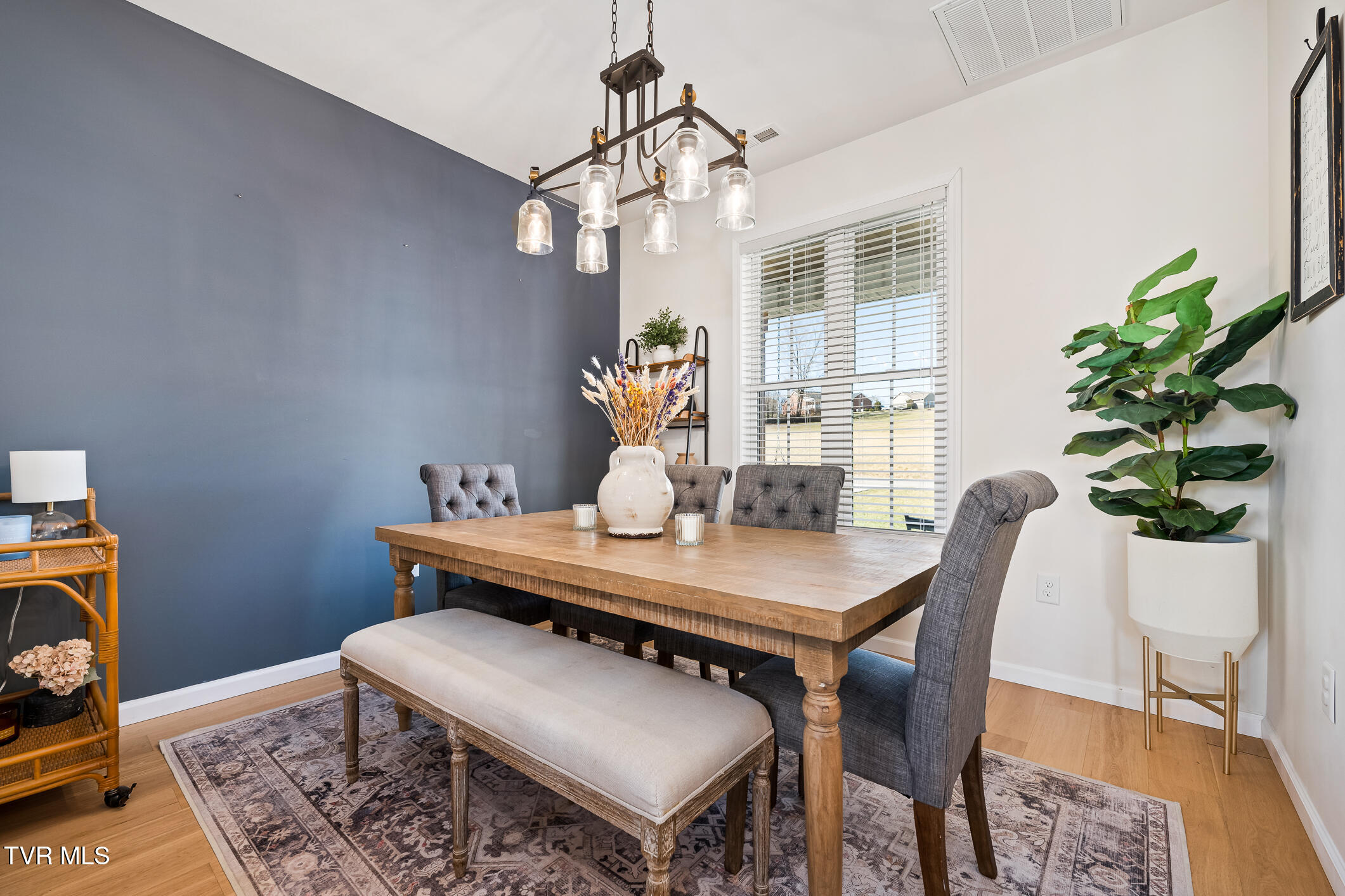 15728 Piper Spring Avenue Avenue, Abingdon, Virginia image 46