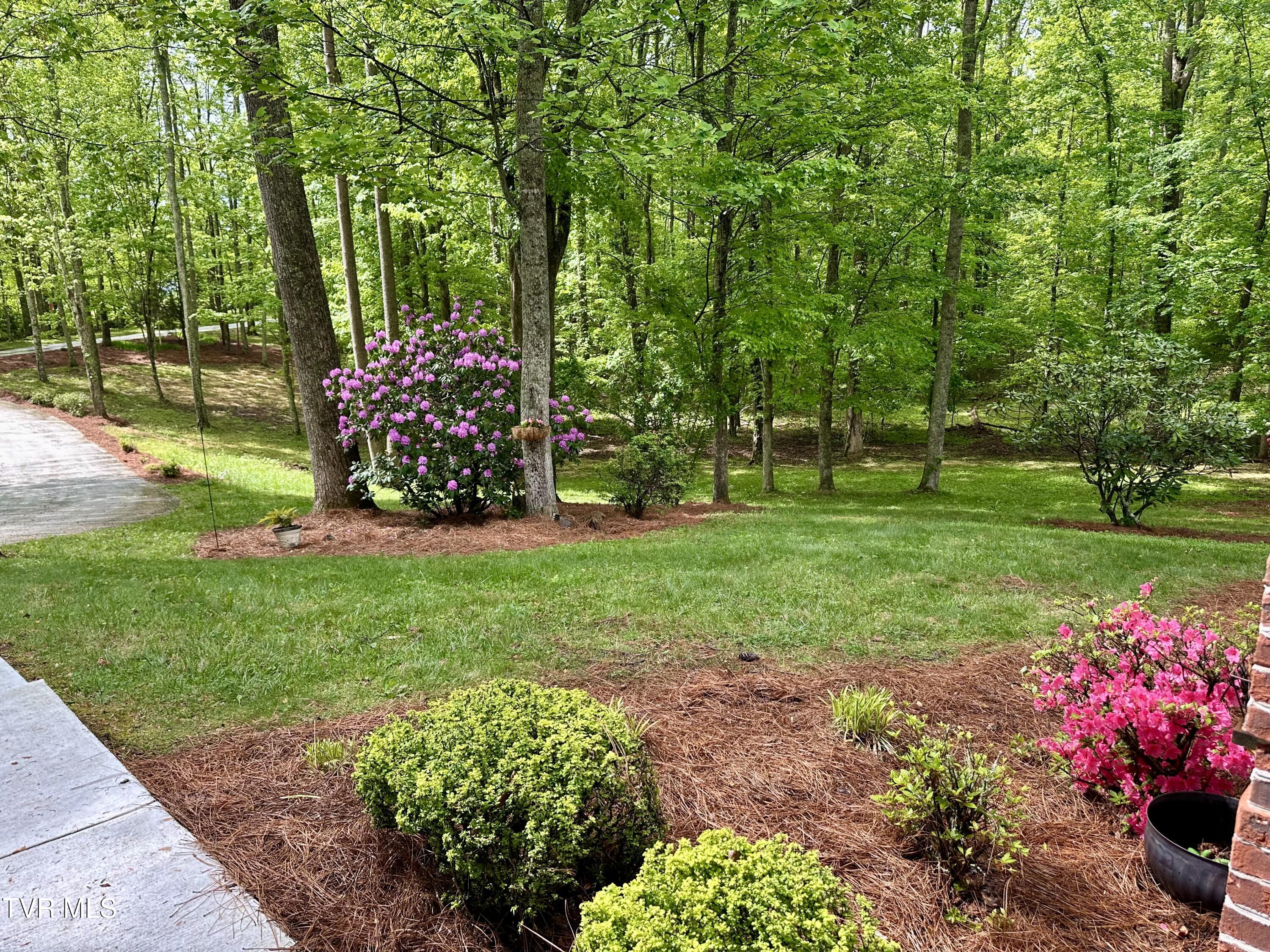 23677 Archery Range Road, Bristol, Virginia image 11