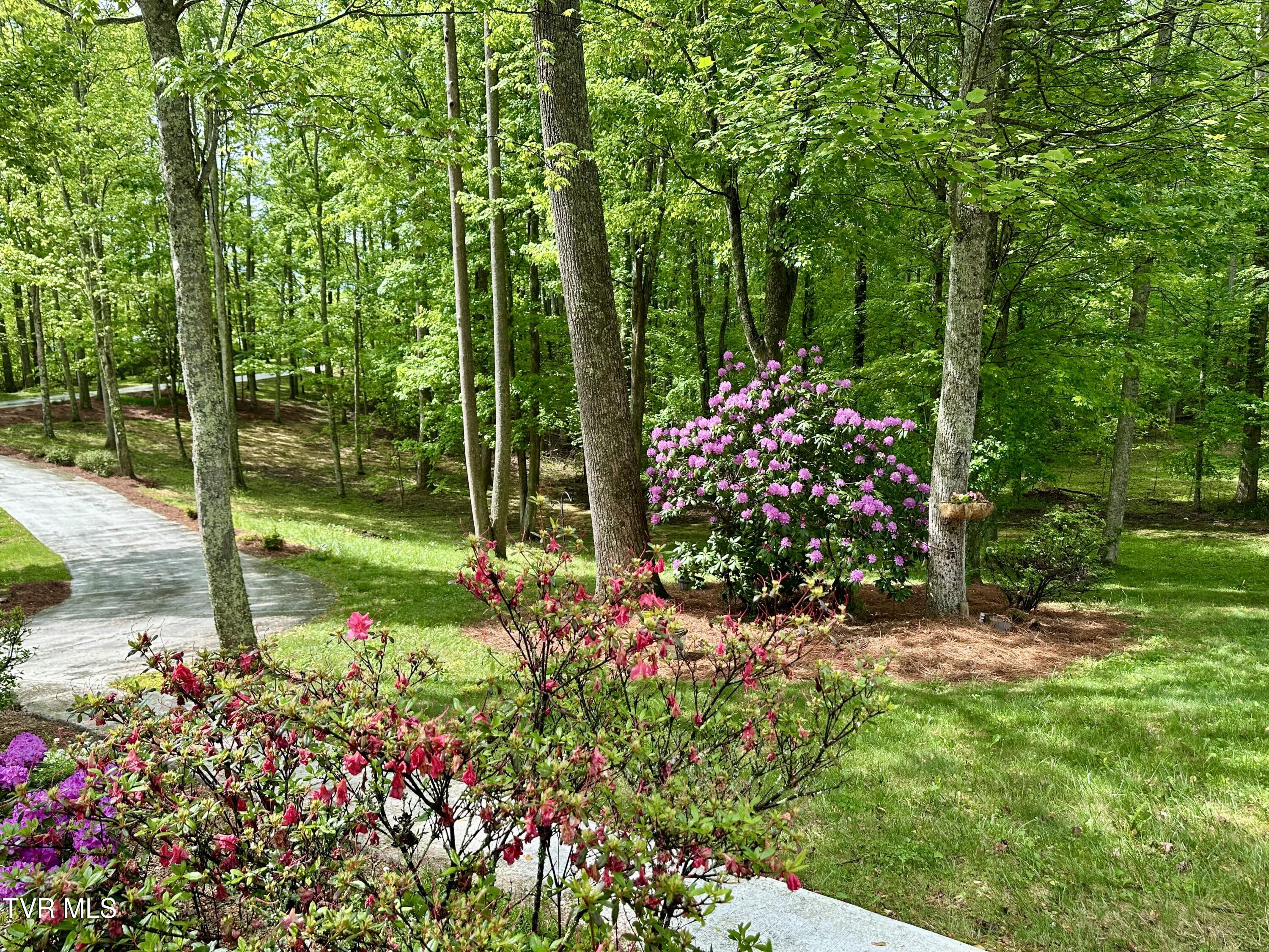 23677 Archery Range Road, Bristol, Virginia image 20