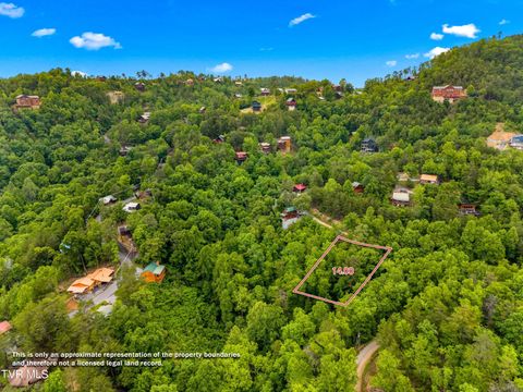 Photo of 9 Red Bone Way, Sevierville, TN 37876 (MLS # 9995379)