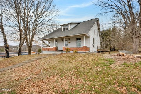 Homes For Sale - 1125 Arlington Avenue<br/> Bristol, VA 24201