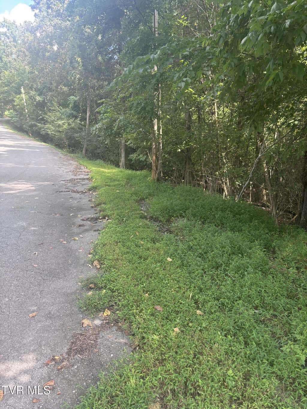 Photo of 2122 Log Cabin Road, Johnson City, TN 37615 (MLS # 9999937)