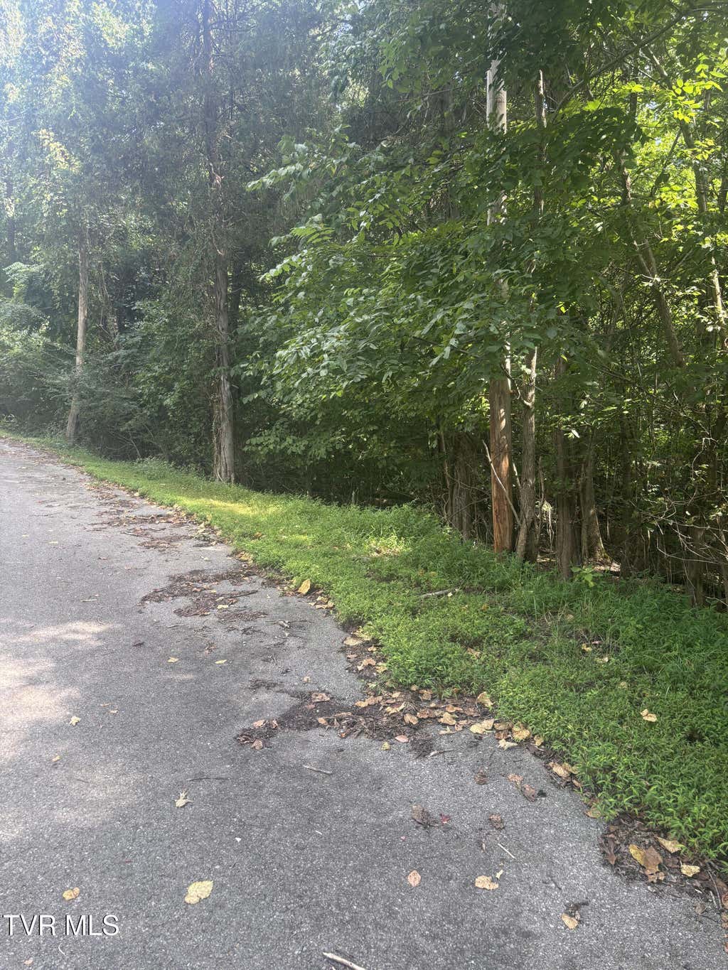Photo of 2122 Log Cabin Road, Johnson City, TN 37615 (MLS # 9999937)