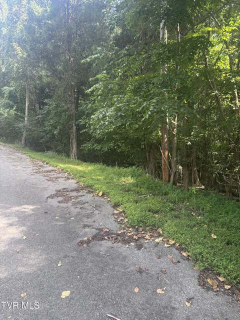 Vacant Land For Sale - LOT 21-22 Log Cabin Road<br/> Washington County, Johnson City, TN 37615