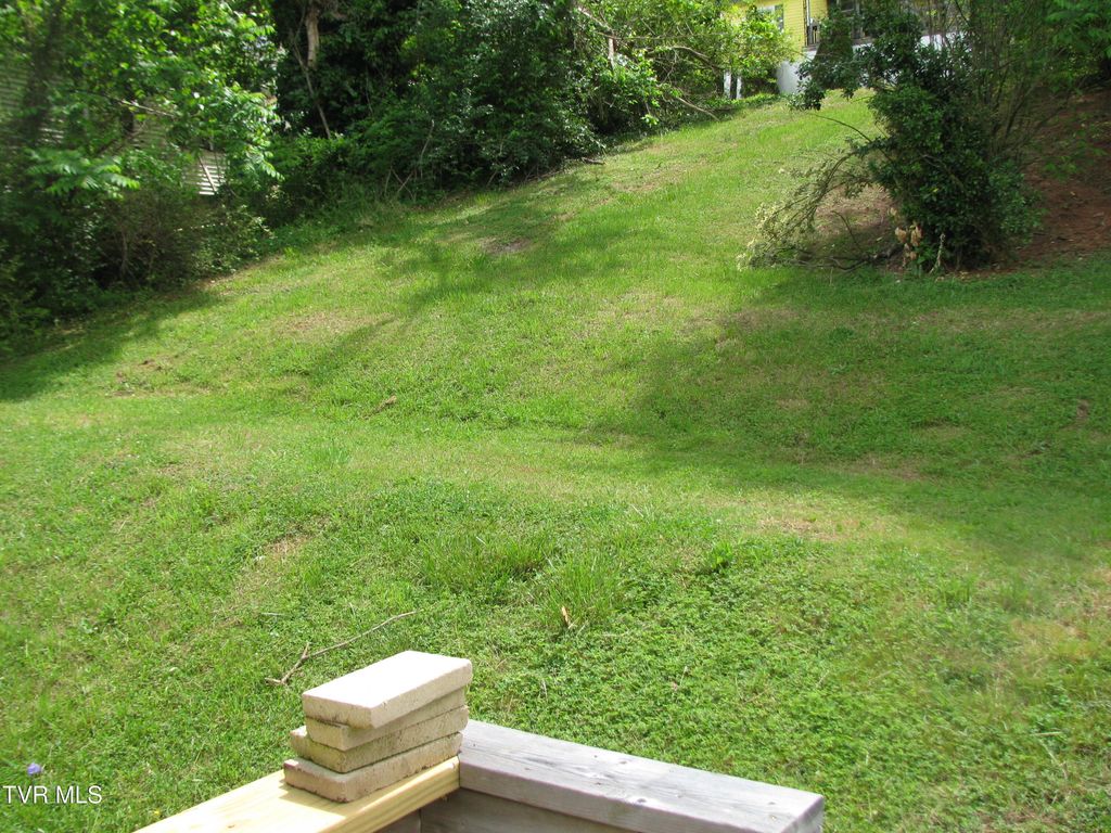 Photo of 407 Banks Street, Greeneville, TN 37745 (MLS # 9994770)