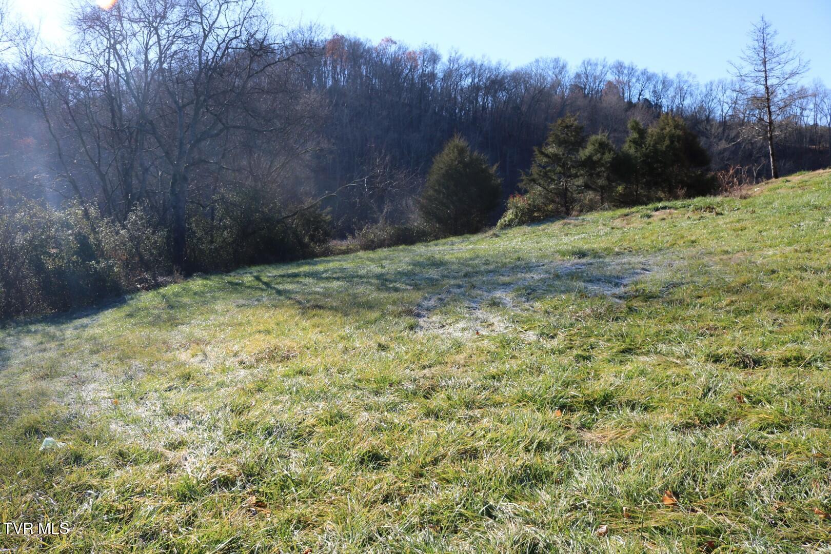 2350 Oakwood Road, Midway, Tennessee image 22