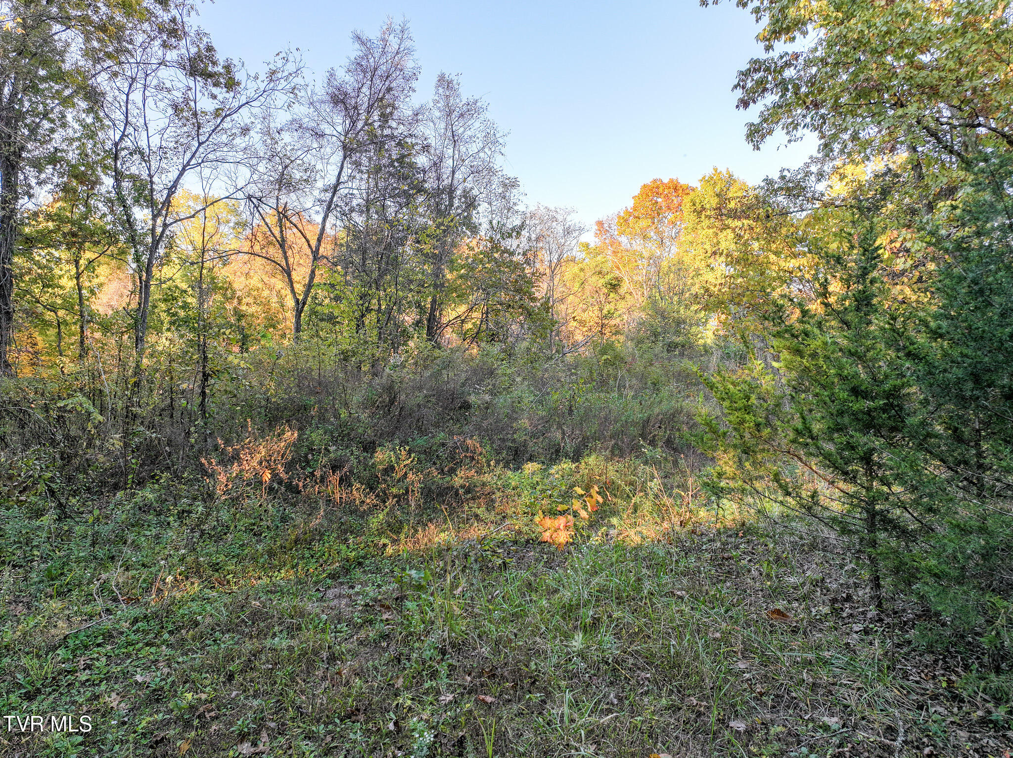 Lot 2 Peppermint Lane, Greeneville, Tennessee image 15