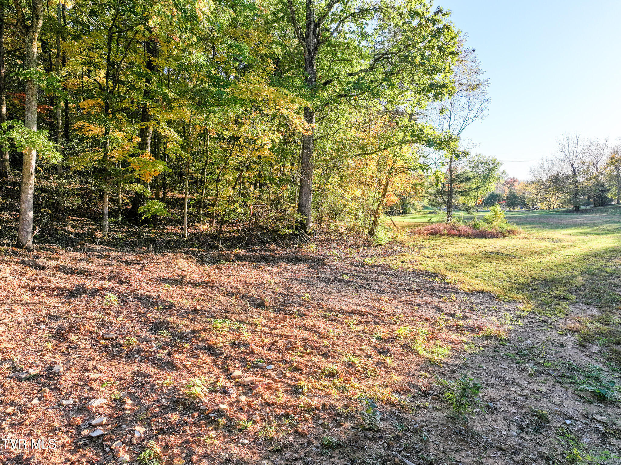 Lot 2 Peppermint Lane, Greeneville, Tennessee image 11