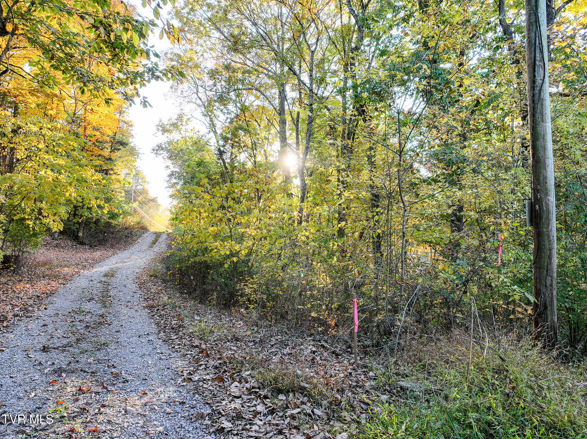 Lot 2 Peppermint Lane, Greeneville, Tennessee image 16