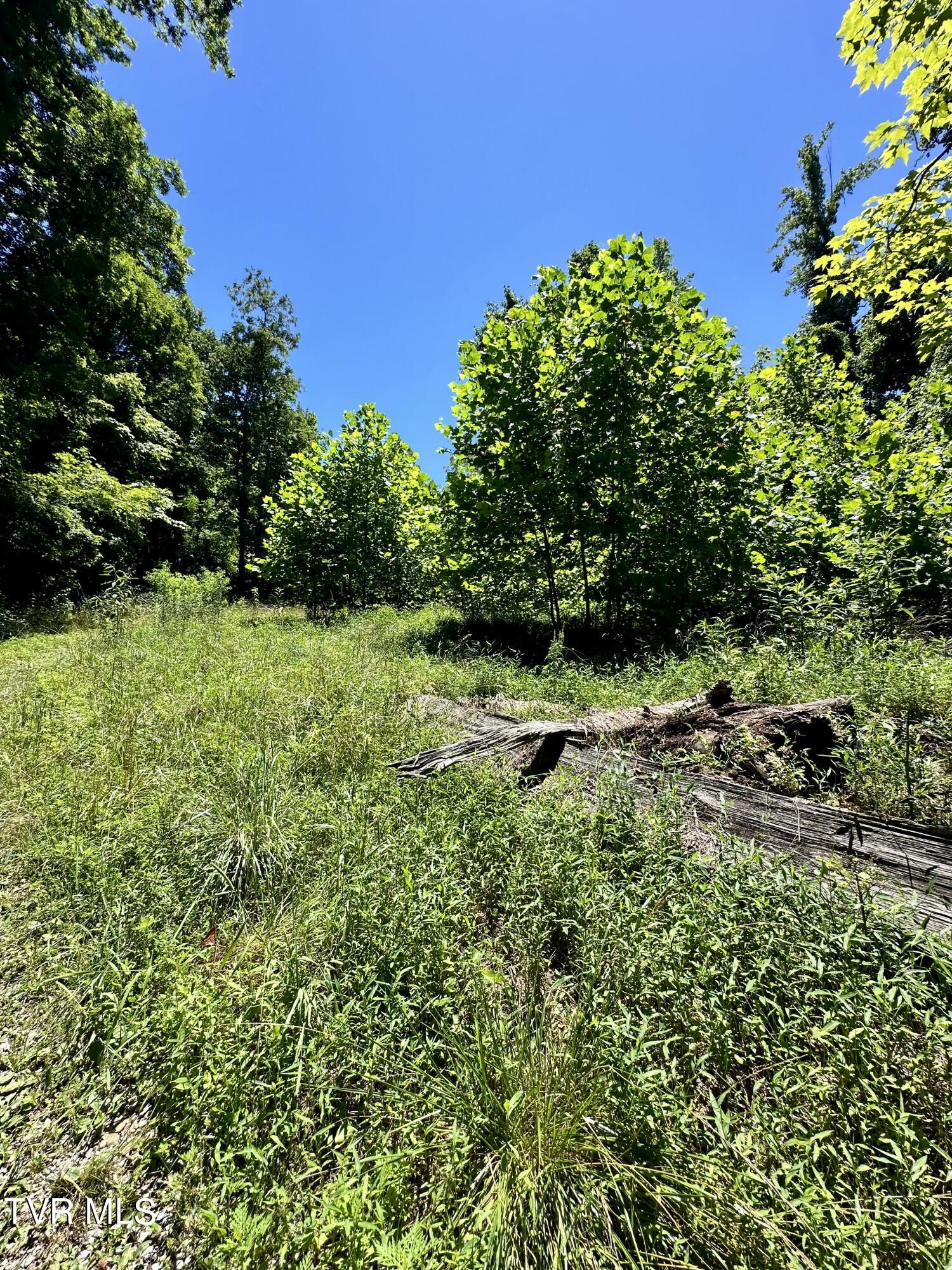 Big Moccasin Road, Nickelsville, Virginia image 5