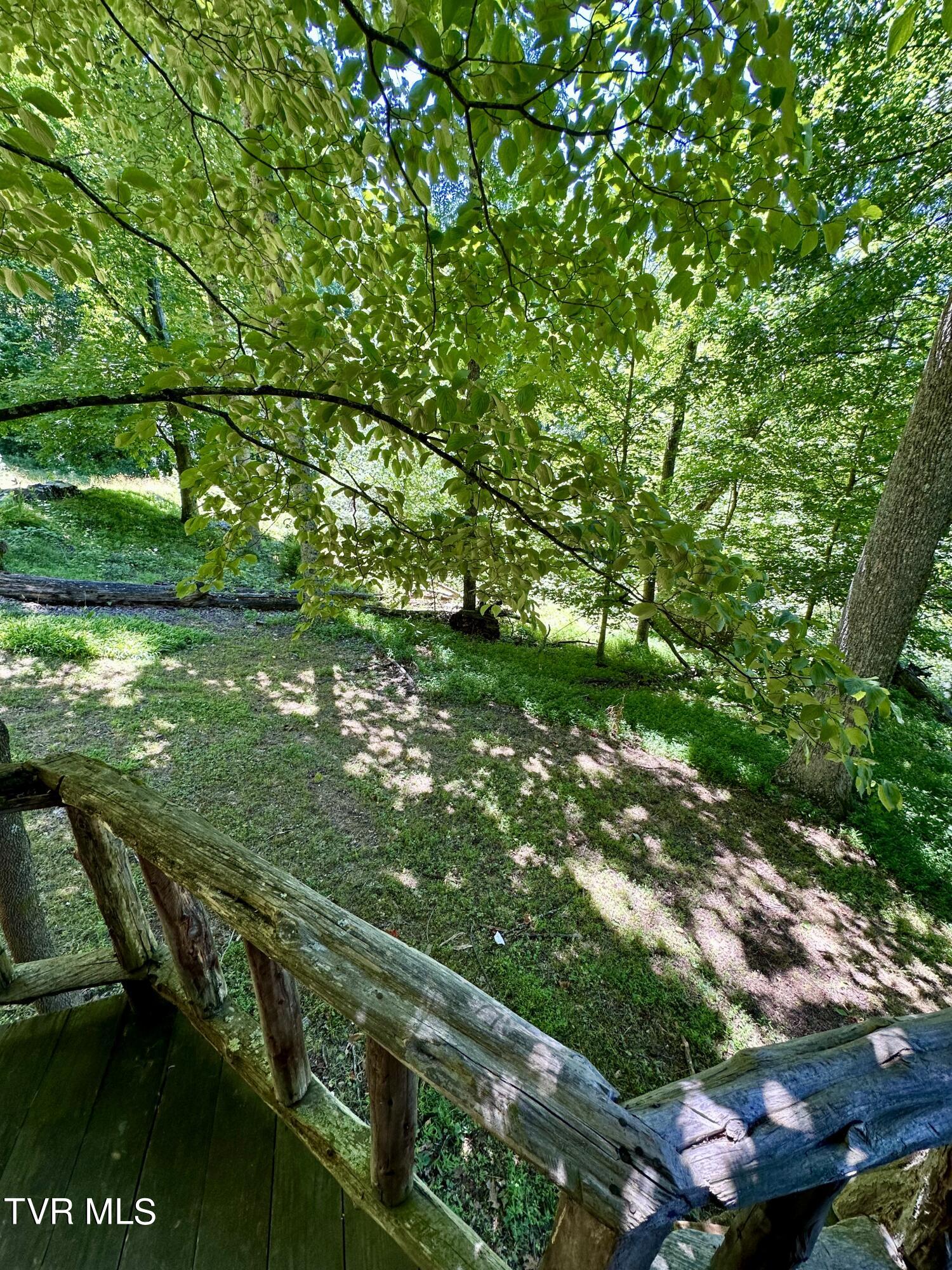 Big Moccasin Road, Nickelsville, Virginia image 47