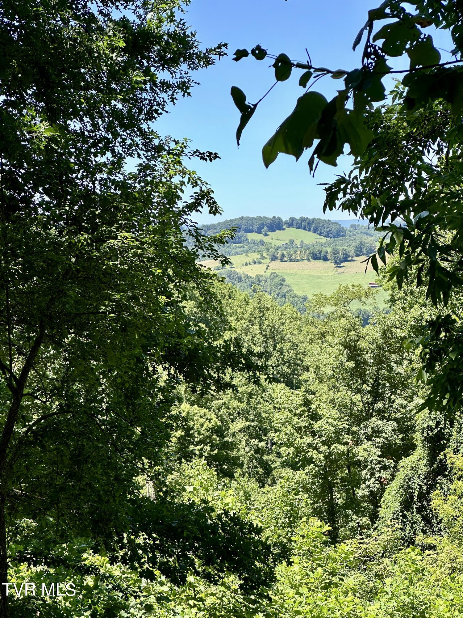 Big Moccasin Road, Nickelsville, Virginia image 1