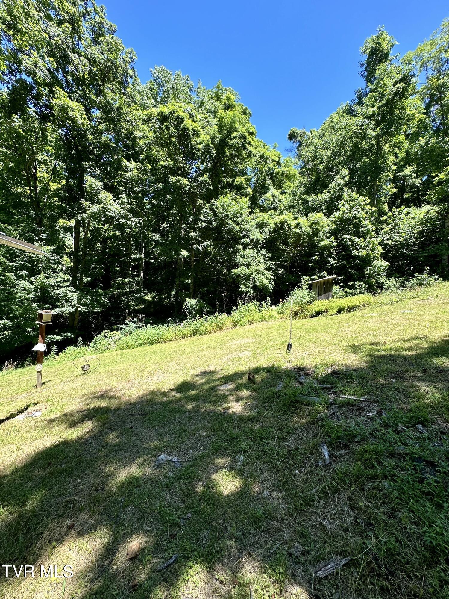 Big Moccasin Road, Nickelsville, Virginia image 42