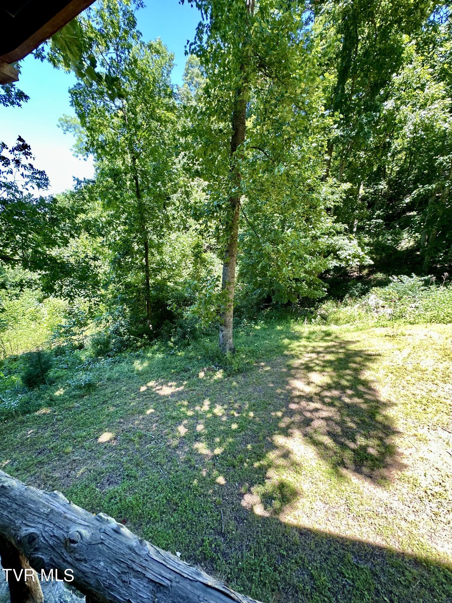 Big Moccasin Road, Nickelsville, Virginia image 48