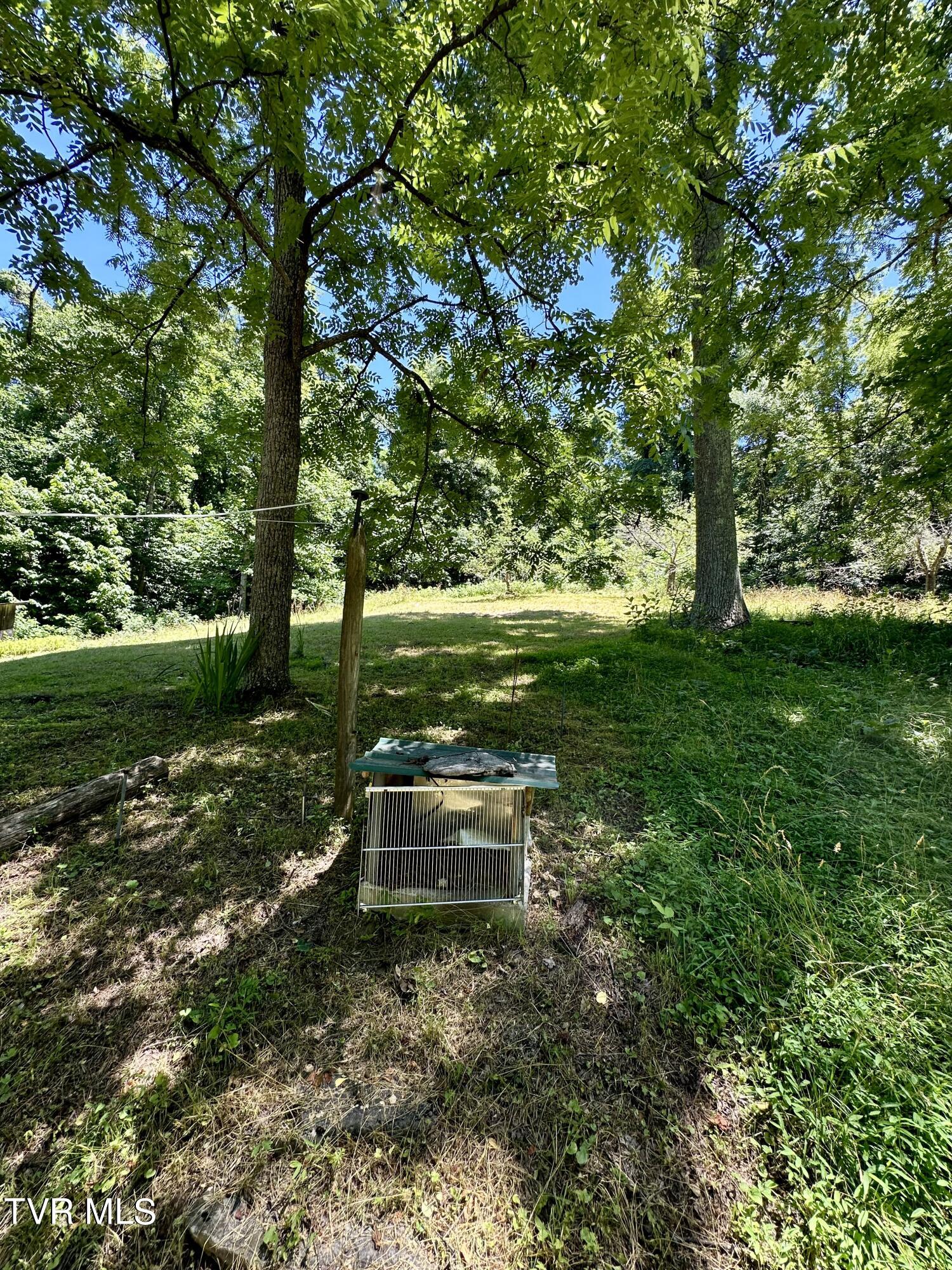 Big Moccasin Road, Nickelsville, Virginia image 41