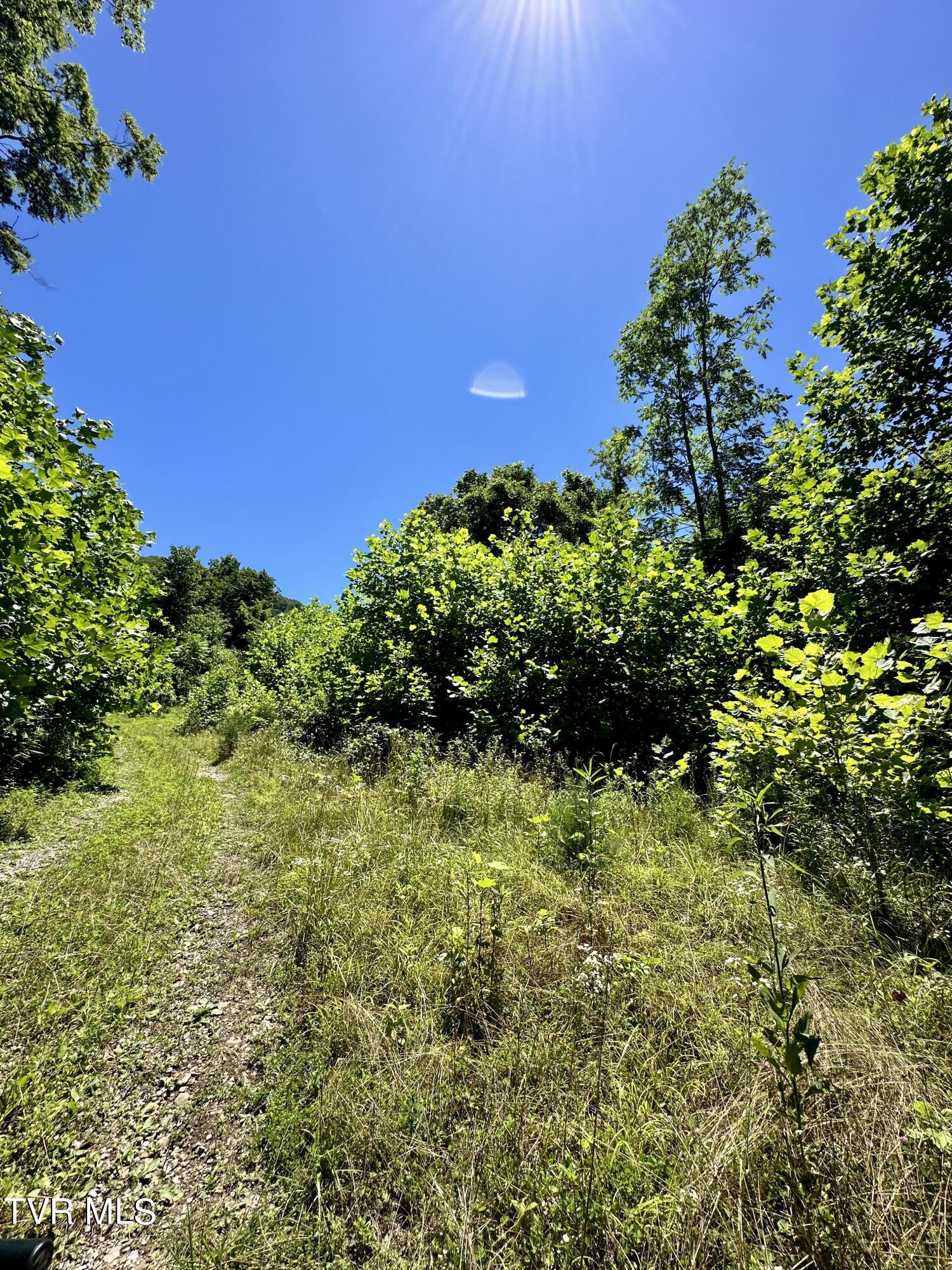 Big Moccasin Road, Nickelsville, Virginia image 4