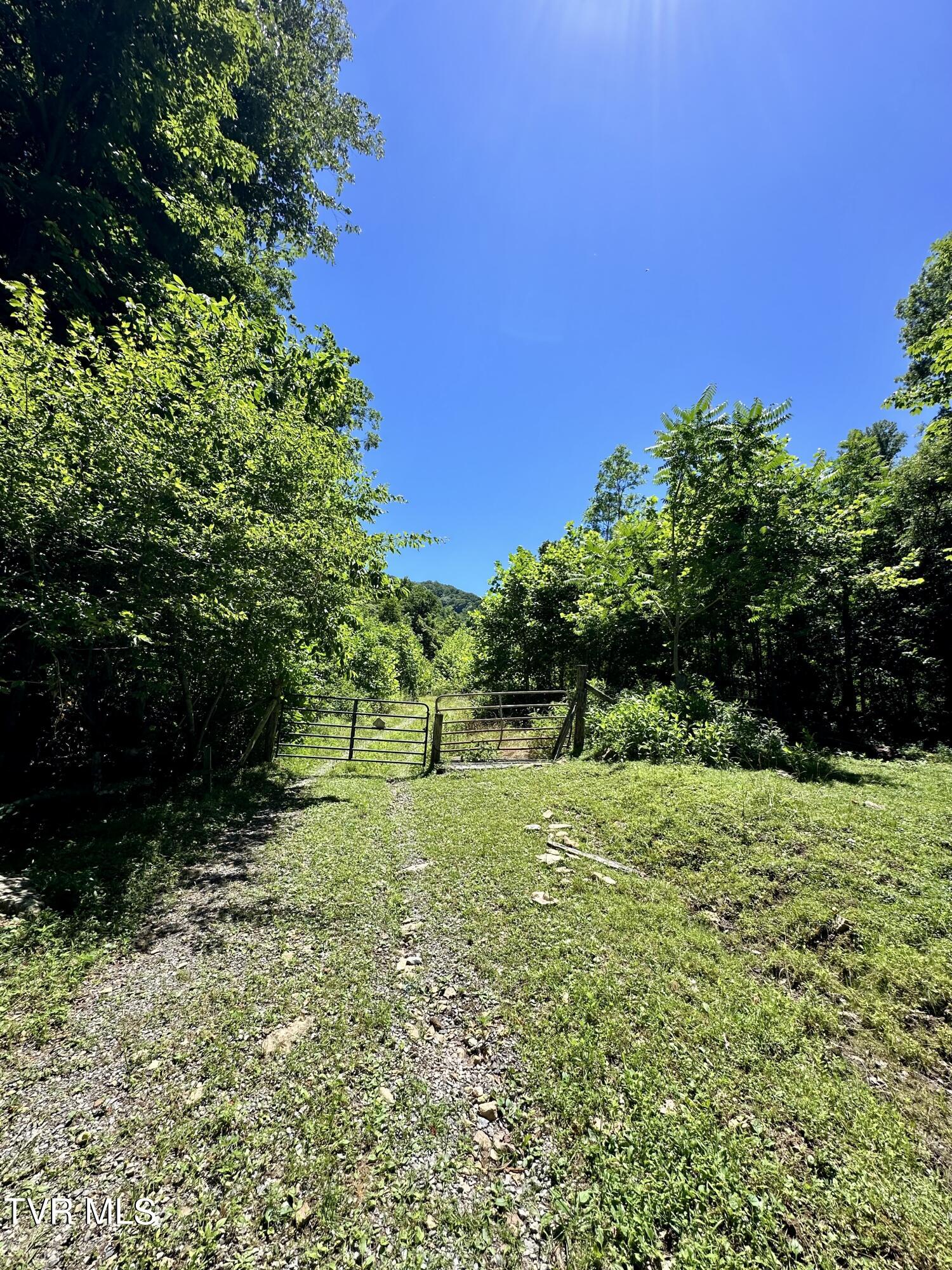 Big Moccasin Road, Nickelsville, Virginia image 2