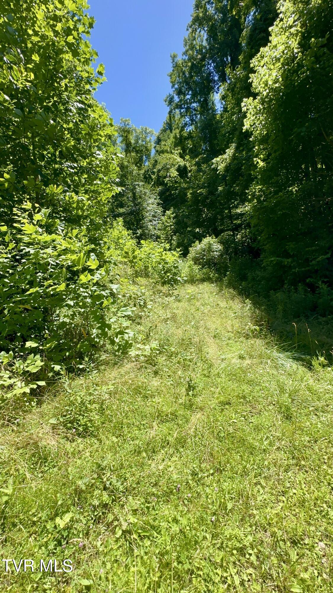 Big Moccasin Road, Nickelsville, Virginia image 38