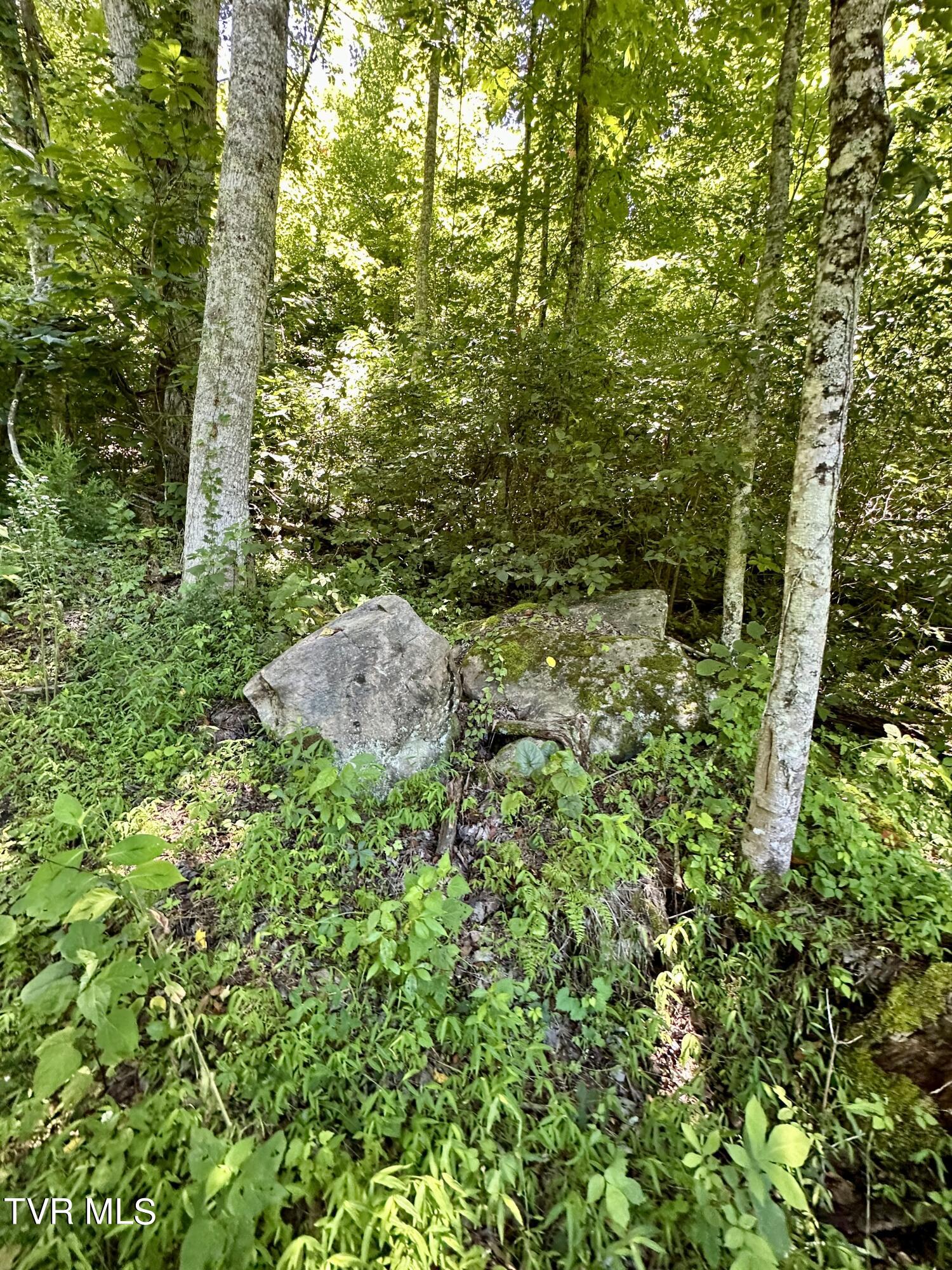 Big Moccasin Road, Nickelsville, Virginia image 31