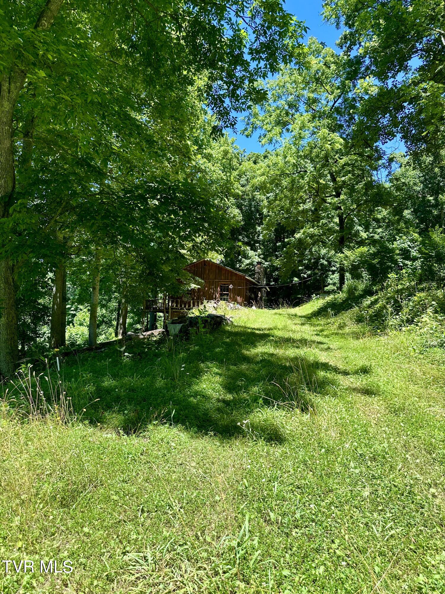 Big Moccasin Road, Nickelsville, Virginia image 35