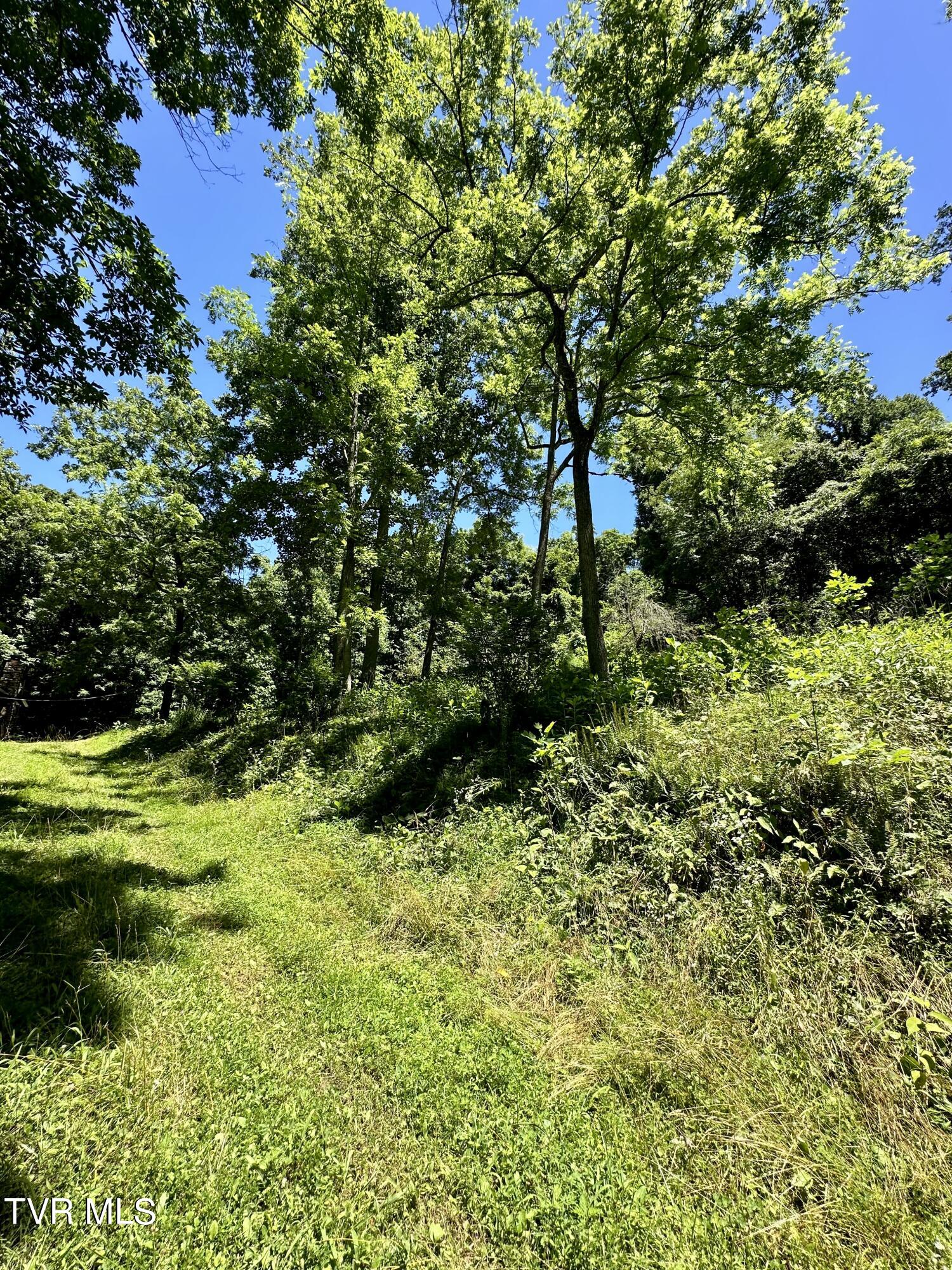 Big Moccasin Road, Nickelsville, Virginia image 39