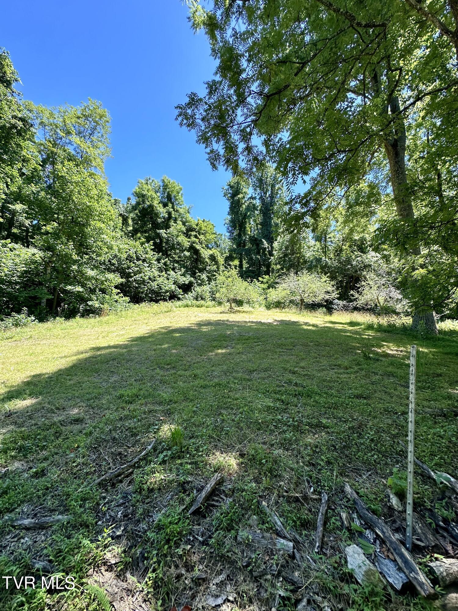 Big Moccasin Road, Nickelsville, Virginia image 25