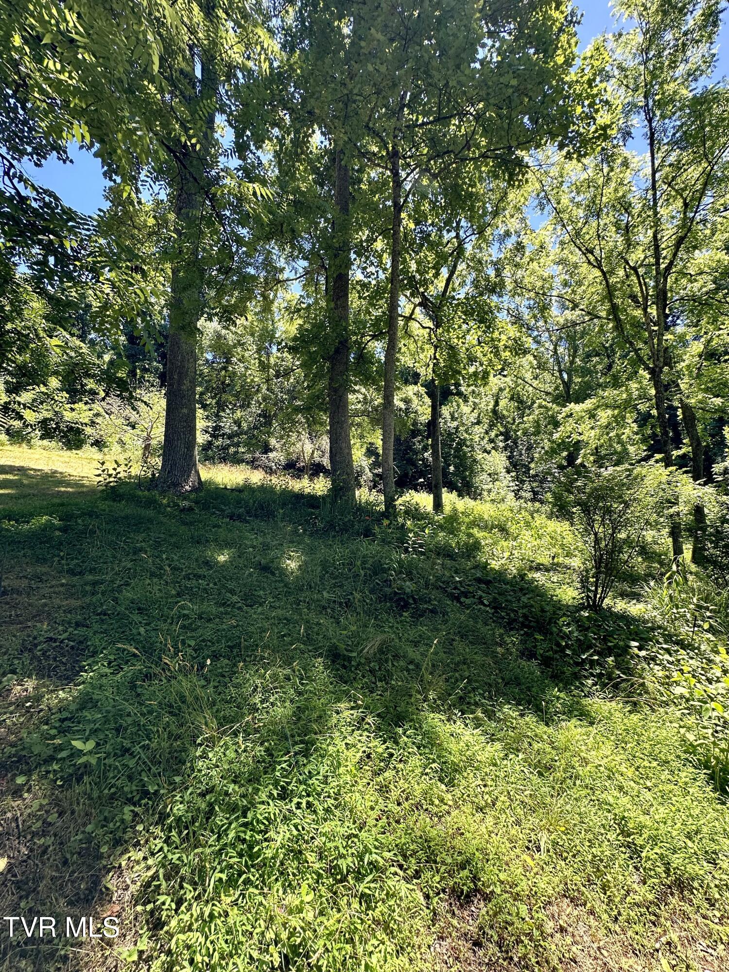Big Moccasin Road, Nickelsville, Virginia image 40
