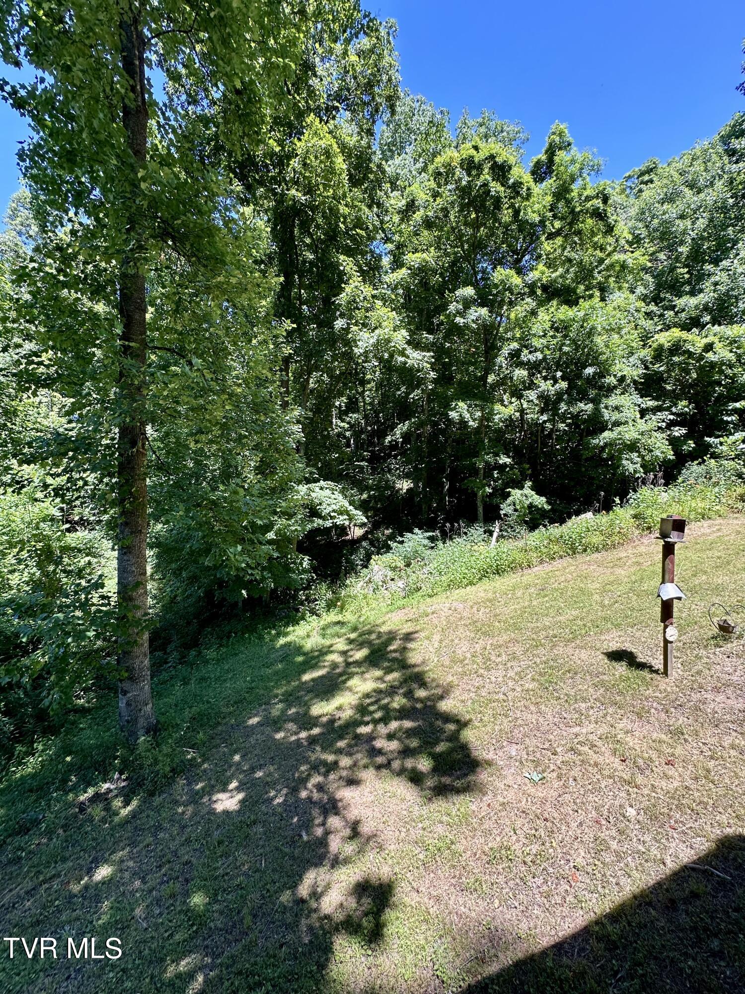 Big Moccasin Road, Nickelsville, Virginia image 24