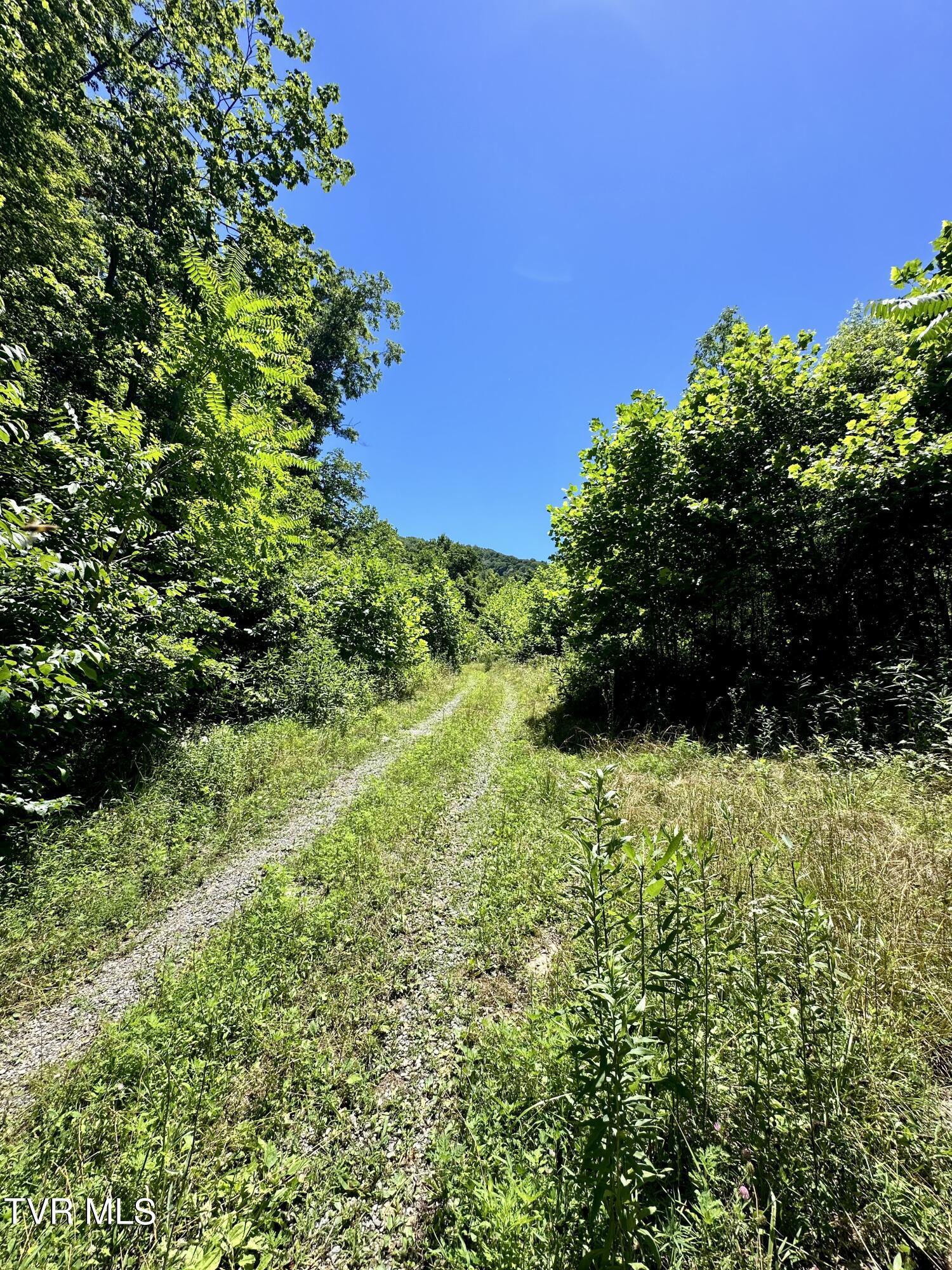 Big Moccasin Road, Nickelsville, Virginia image 3