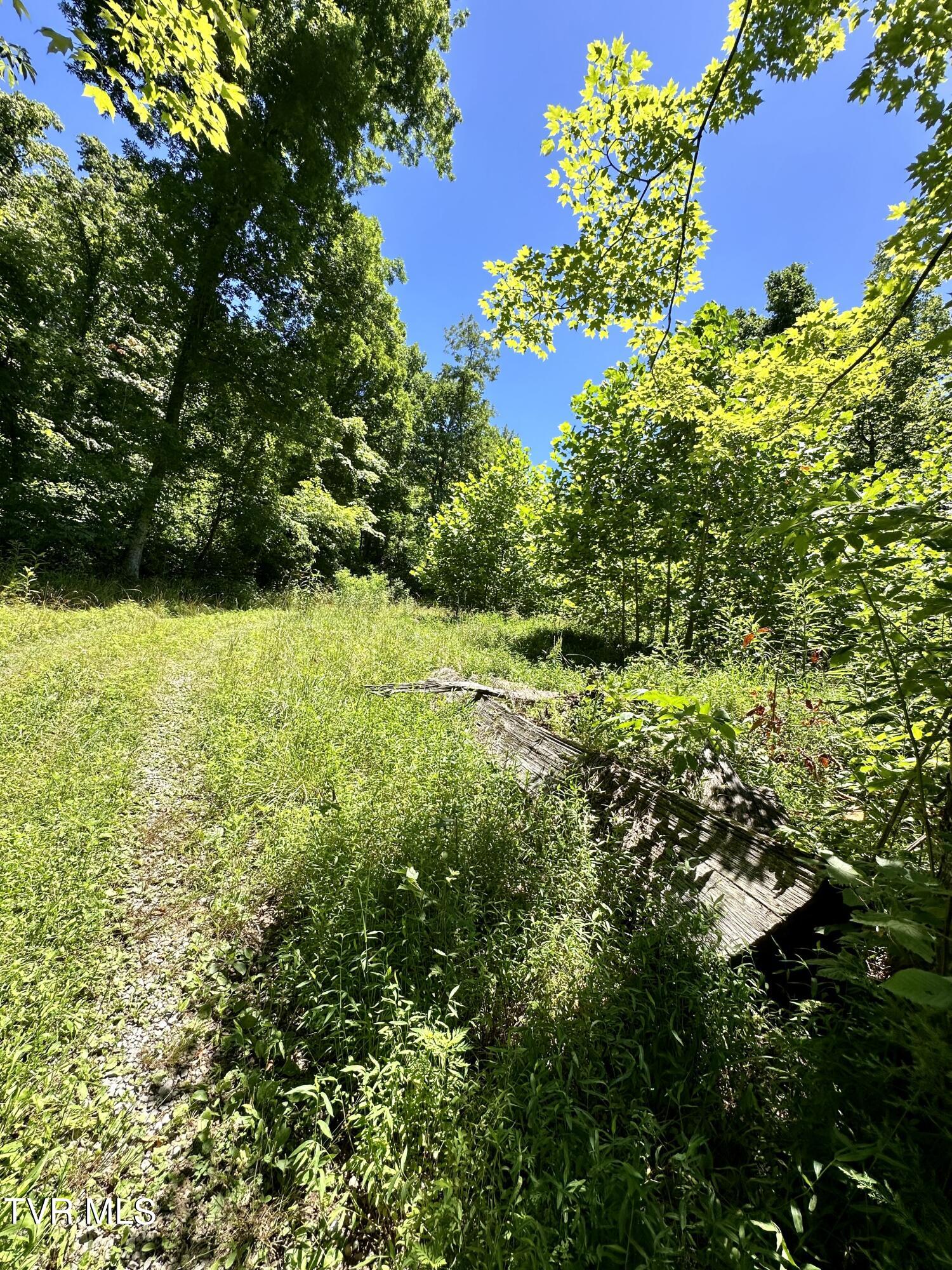 Big Moccasin Road, Nickelsville, Virginia image 30