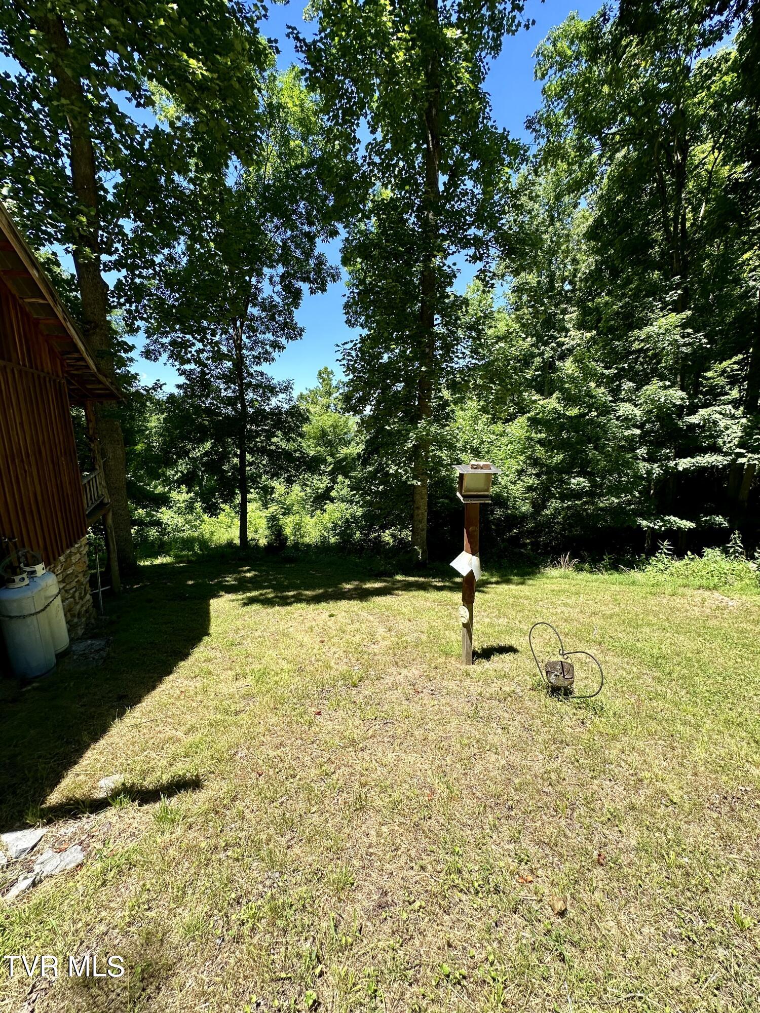 Big Moccasin Road, Nickelsville, Virginia image 26