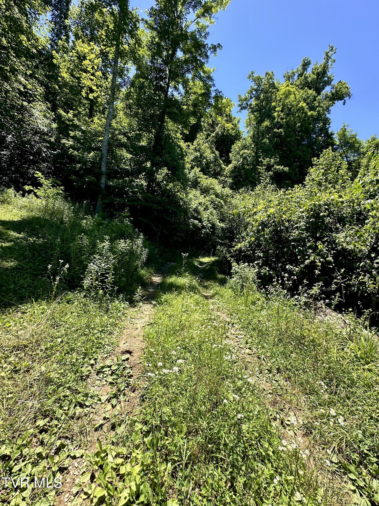 Big Moccasin Road, Nickelsville, Virginia image 32