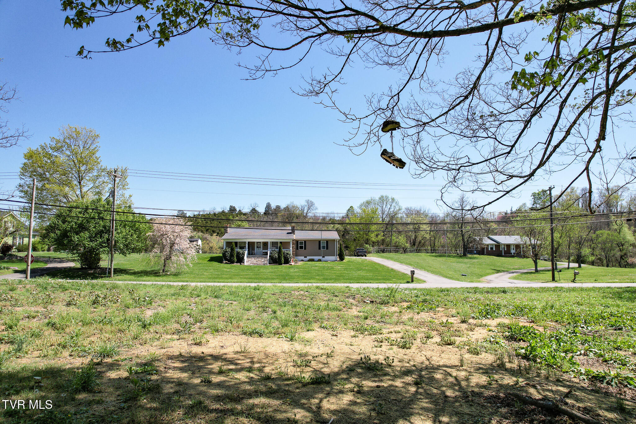 560 Main Street, Mosheim, Tennessee image 8