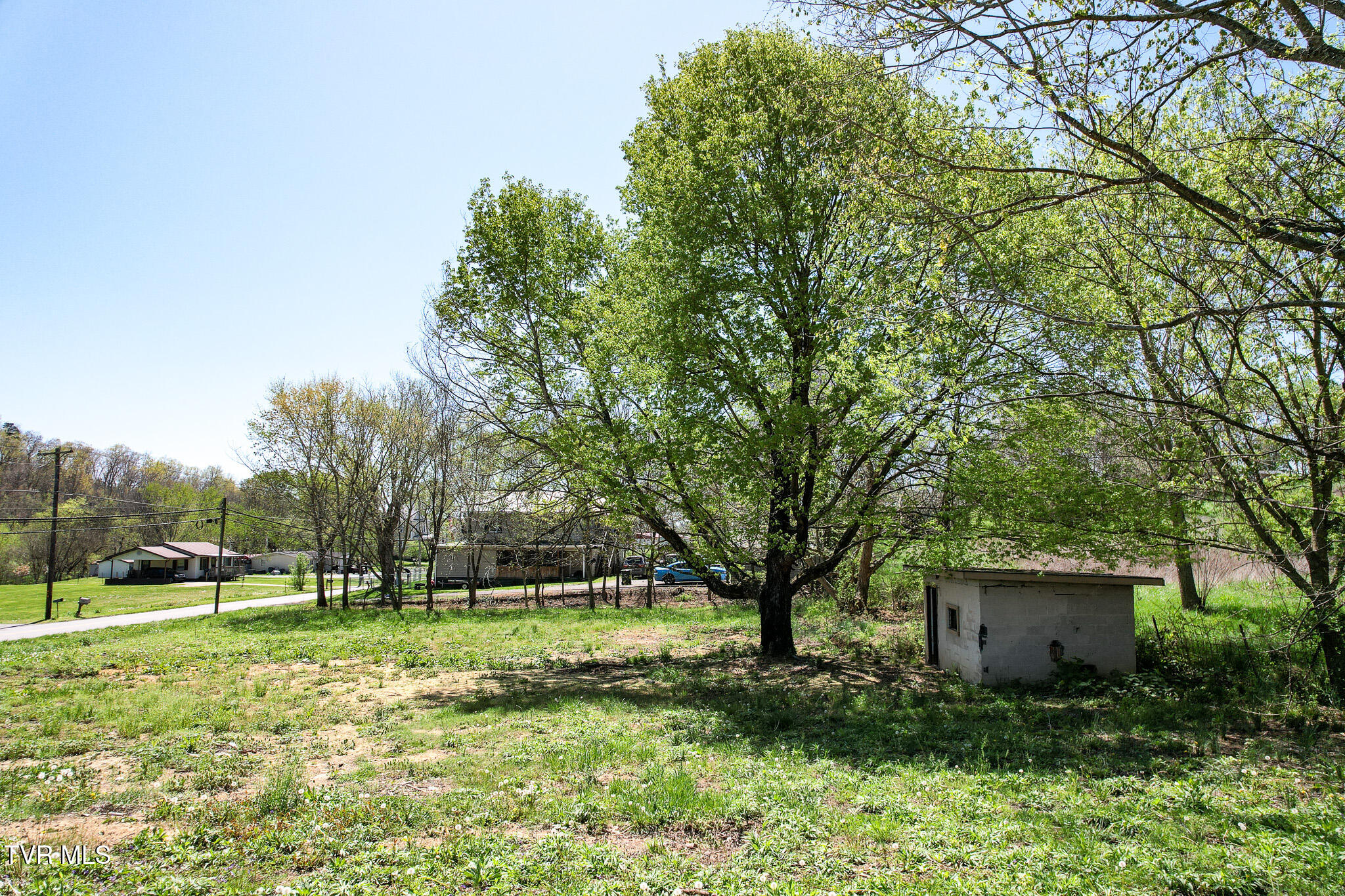 560 Main Street, Mosheim, Tennessee image 6