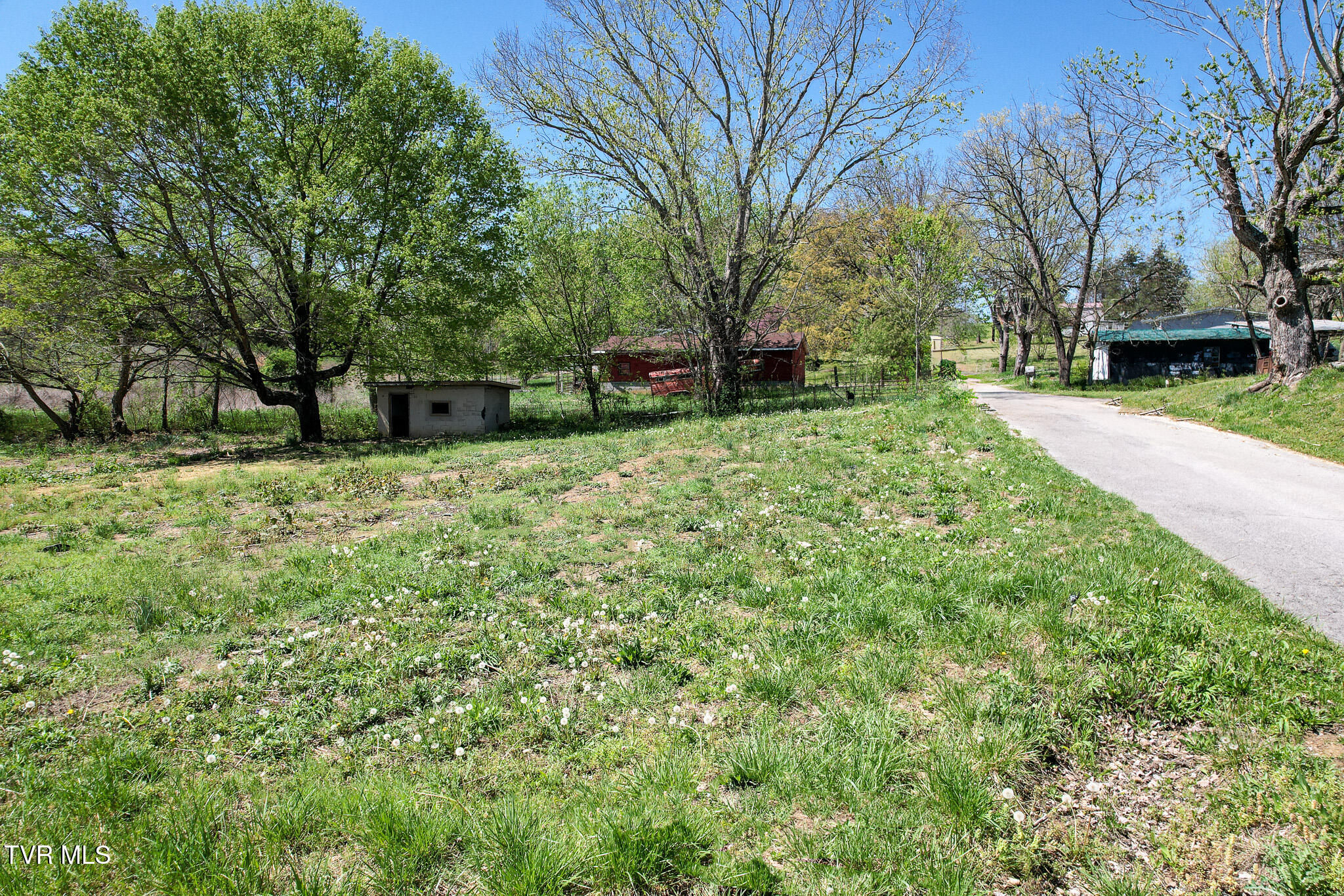 560 Main Street, Mosheim, Tennessee image 1