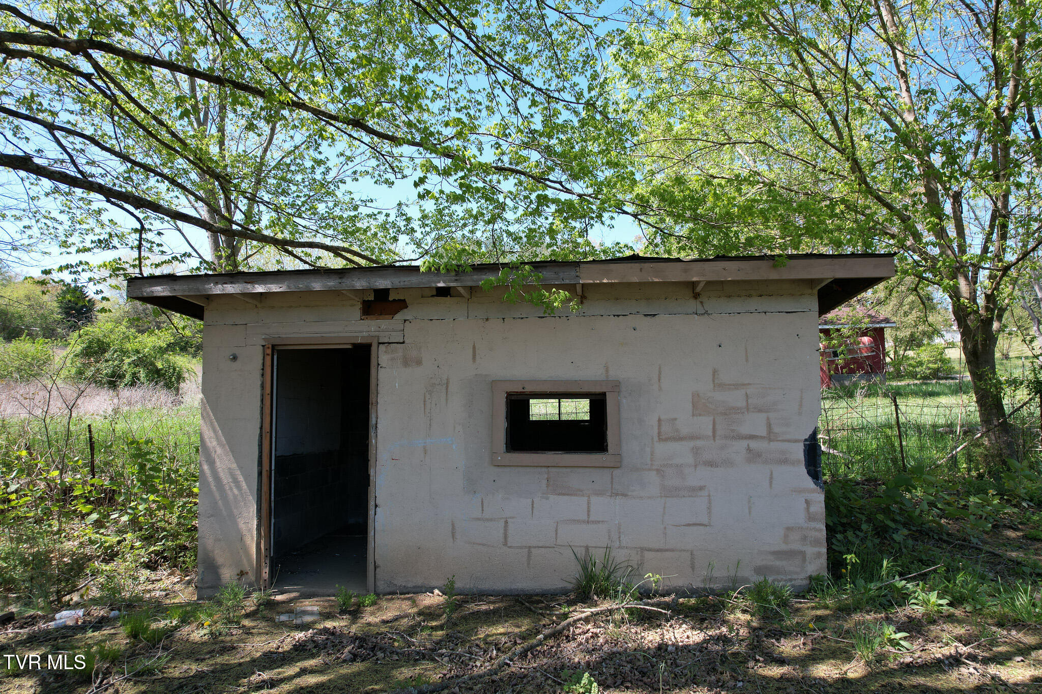 560 Main Street, Mosheim, Tennessee image 7