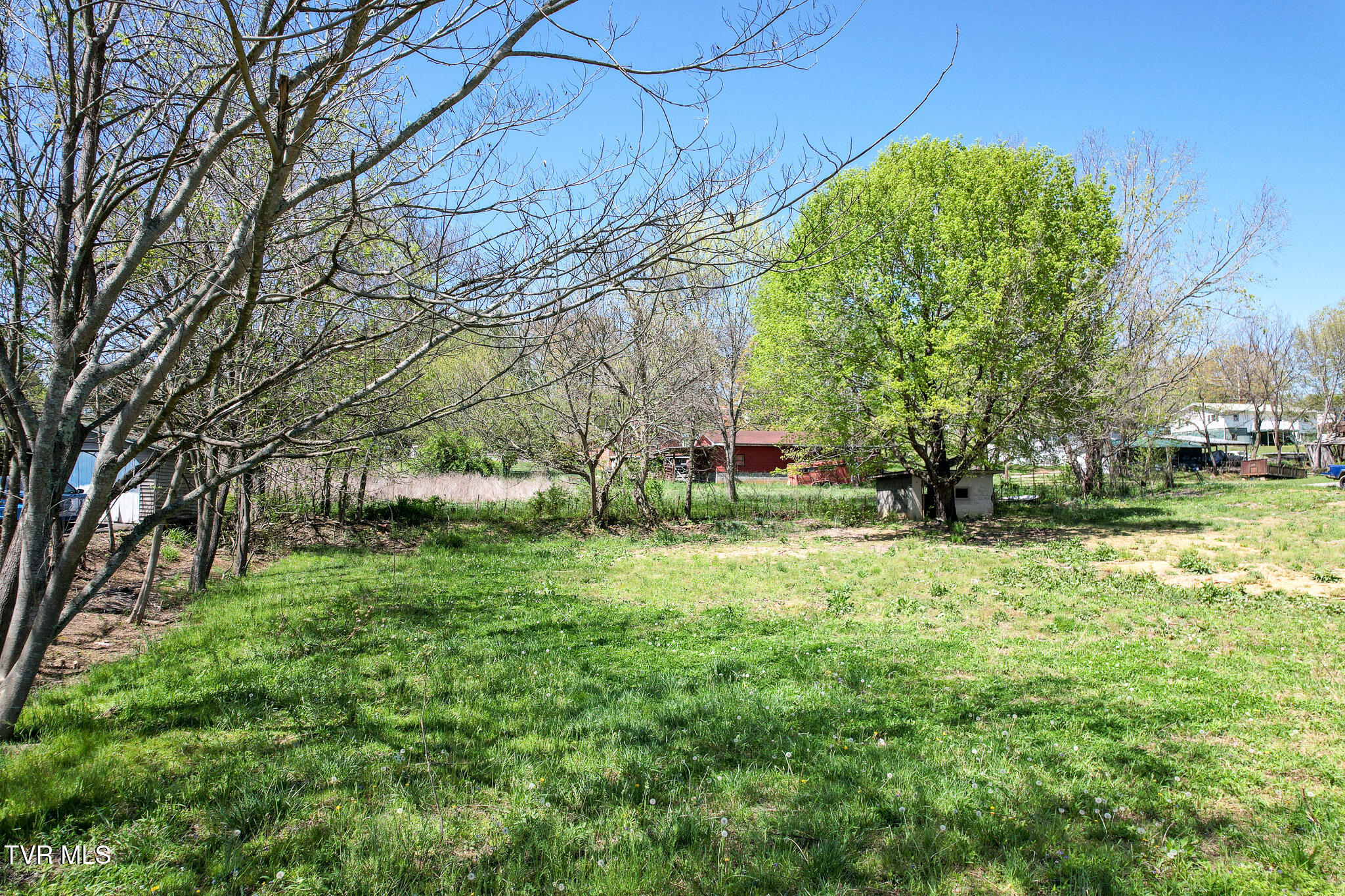 560 Main Street, Mosheim, Tennessee image 5