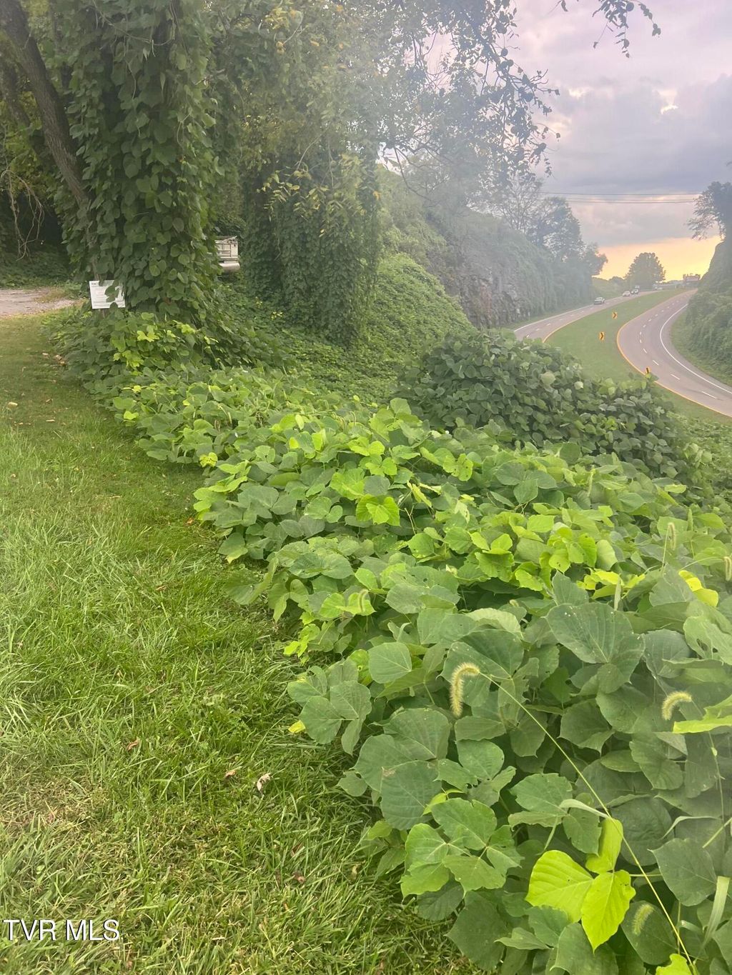 Photo of 0 Burke Street, Castlewood, VA 24224 (MLS # 9985820)