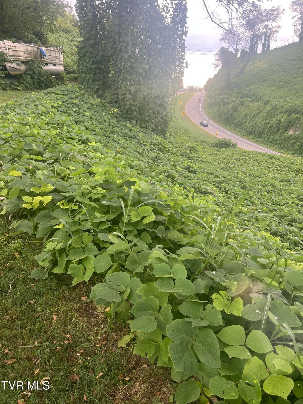 Photo of 0 Burke Street, Castlewood, VA 24224 (MLS # 9985820)