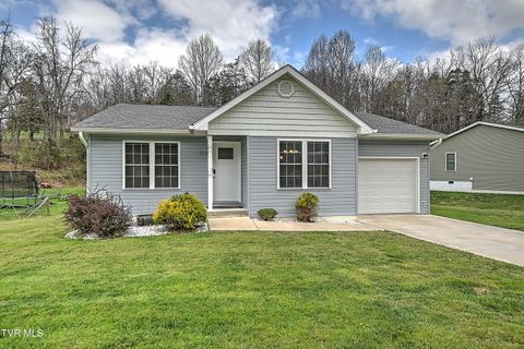 Photo of 1735 Southside Road, Elizabethton, TN 37643 (MLS # 9993287)