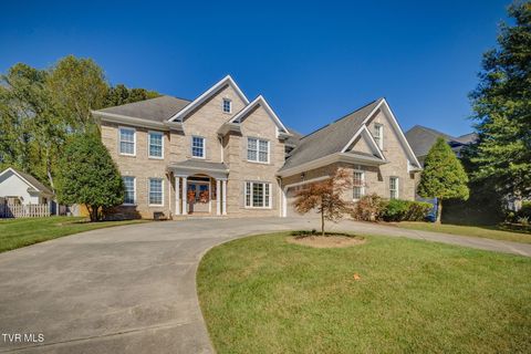 Photo of 205 Rosehaven Court, Kingsport, TN 37663 (MLS # 9990164)